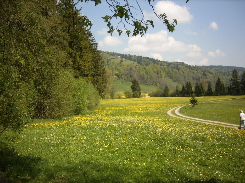 מלון Immenstadt im Allgäu Landgasthof Jagerhaus מראה חיצוני תמונה