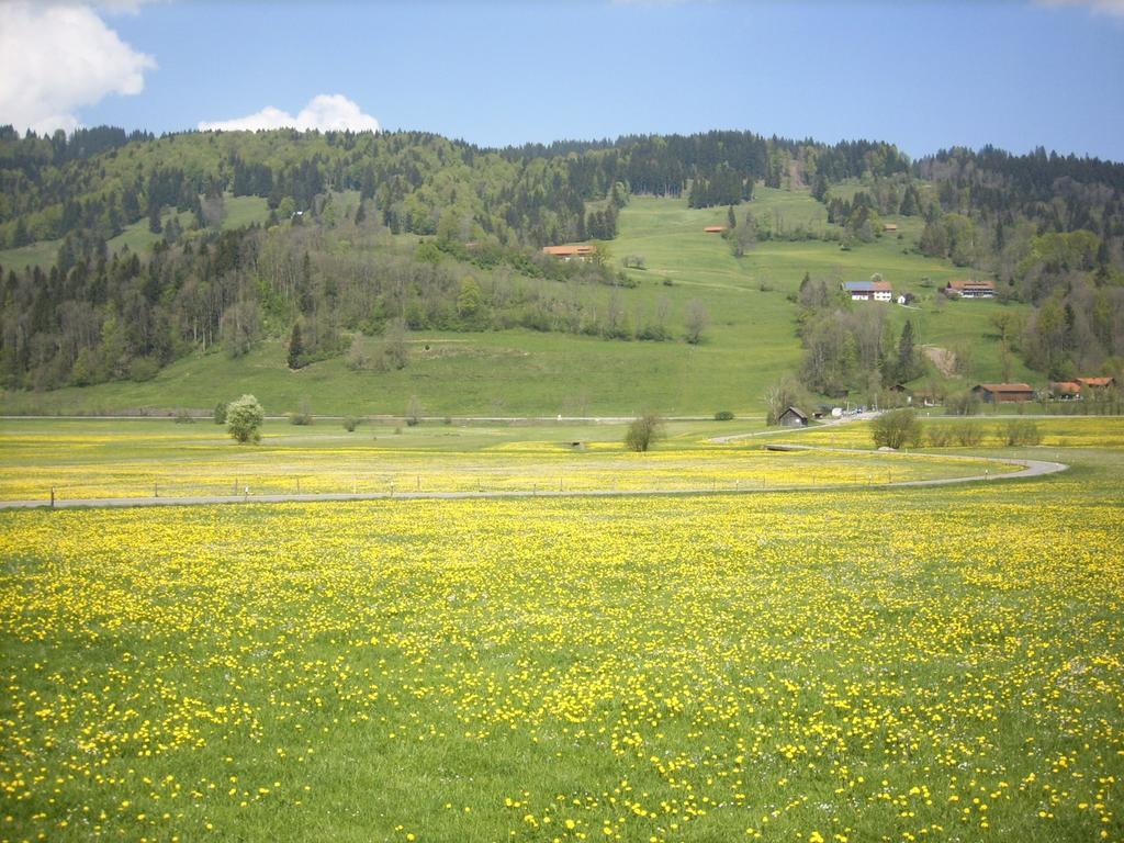 מלון Immenstadt im Allgäu Landgasthof Jagerhaus מראה חיצוני תמונה