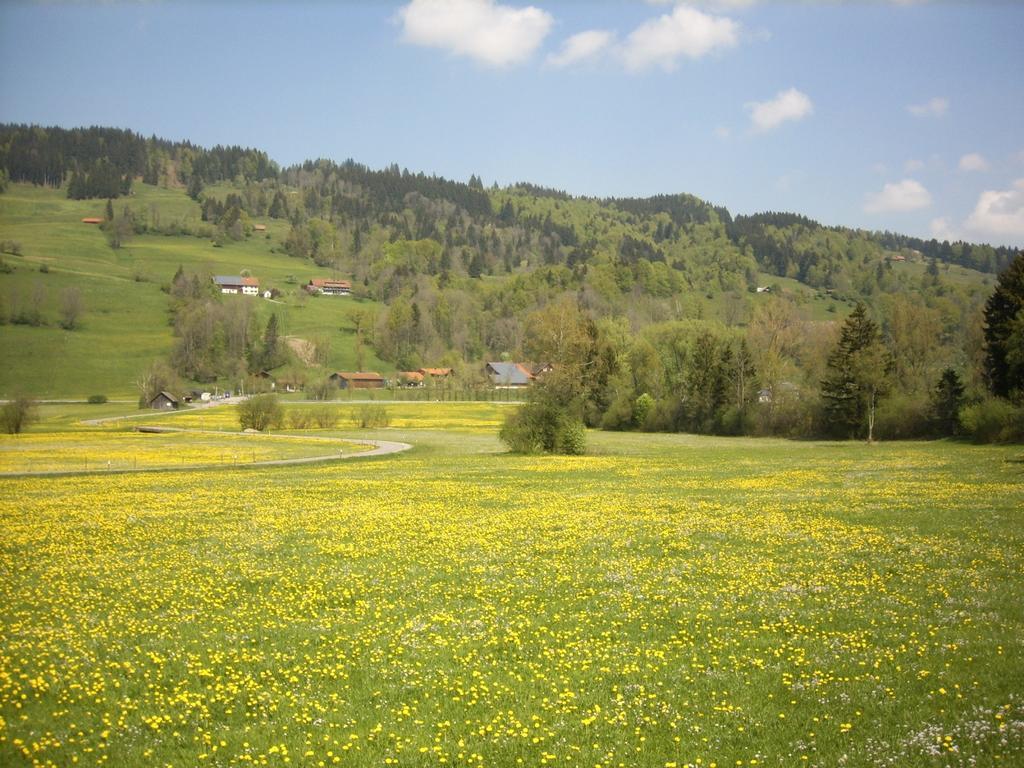 מלון Immenstadt im Allgäu Landgasthof Jagerhaus מראה חיצוני תמונה