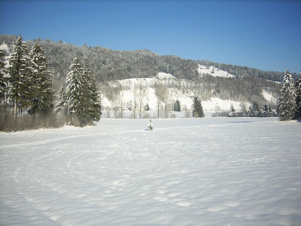 מלון Immenstadt im Allgäu Landgasthof Jagerhaus מראה חיצוני תמונה